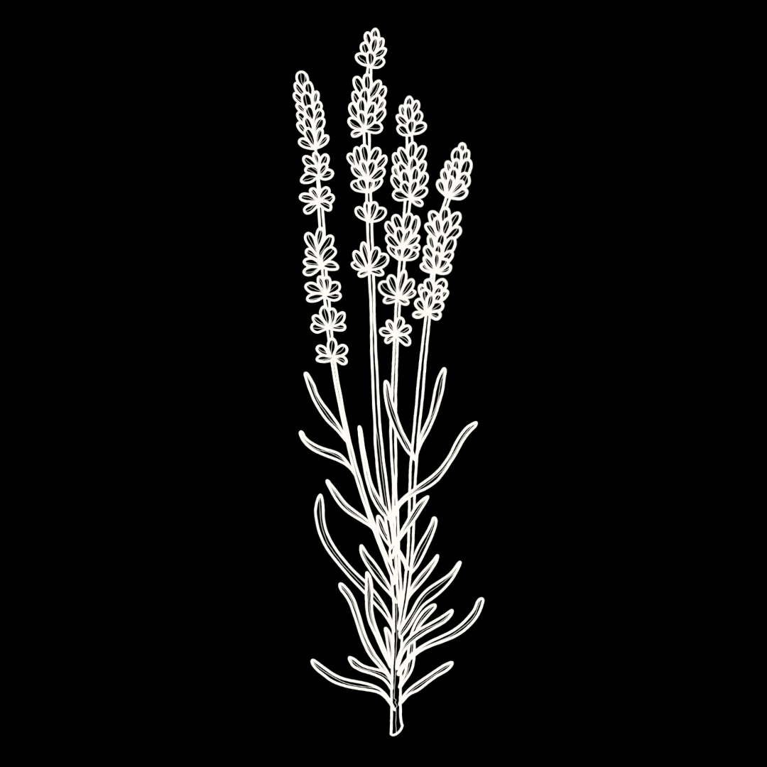 Lavender Monograph