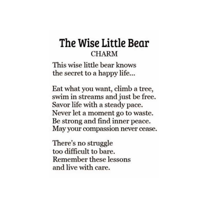 Wise Little Bear Charm