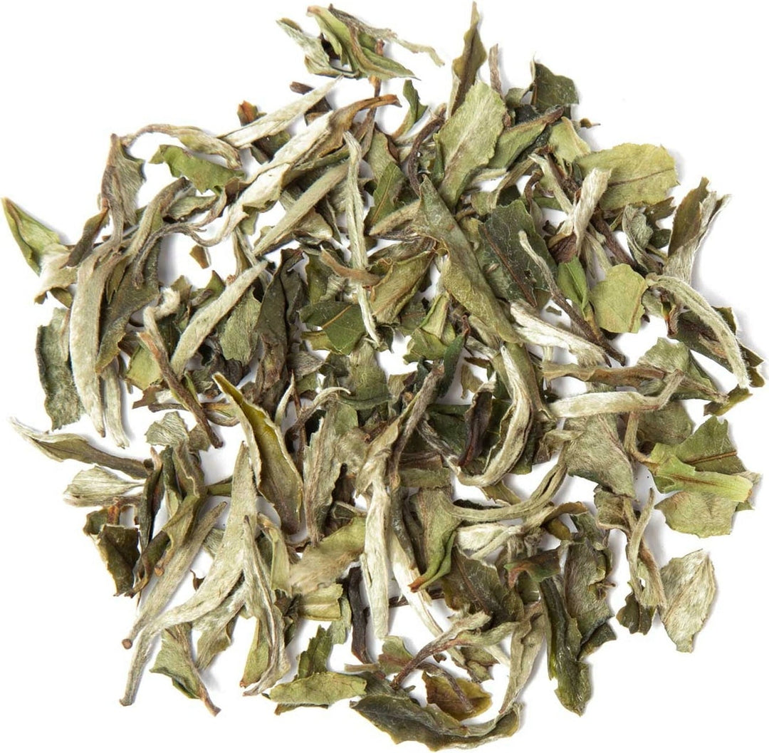Pai Mu Tan White Tea | Organic Loose Leaf Herb