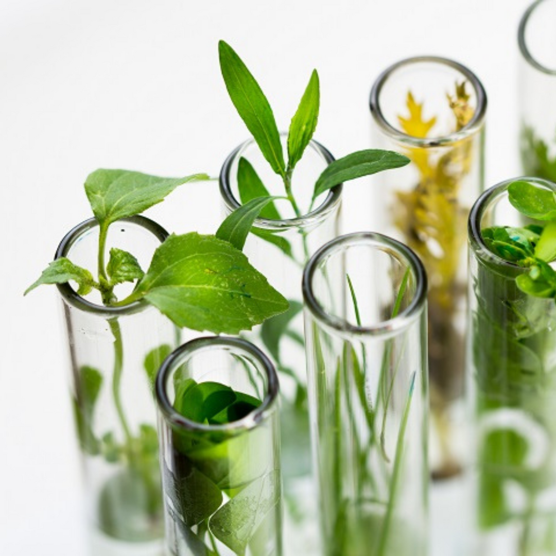 What is Green Chemistry & Why Does It Matter to Me?