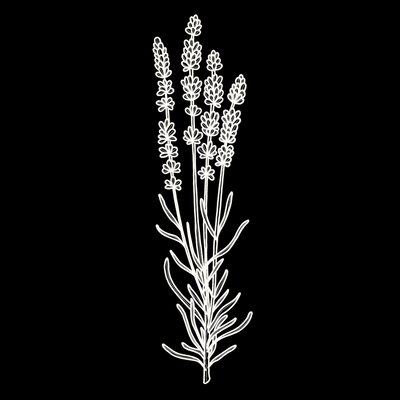 Lavender Monograph