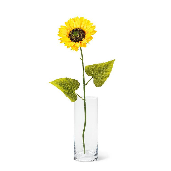 Single Sunflower Stem