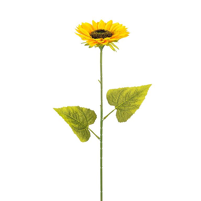 Single Sunflower Stem