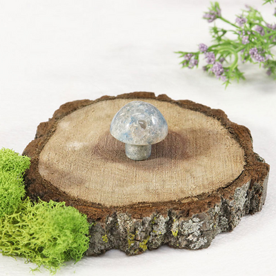 Mini Gemstone Mushroom | Trolleite