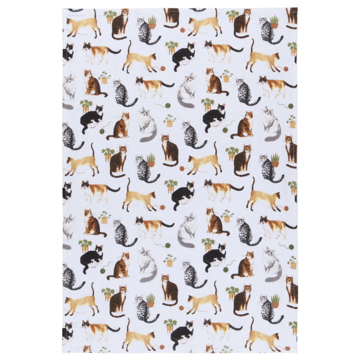 Cat Collective Floursack Tea Towels | Set of 3
