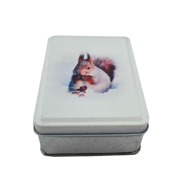 Red Squirrel Travel Tin