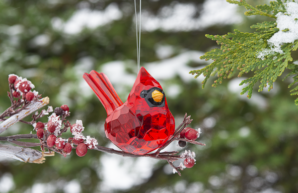 Elegant Cardinal Prism Ornament