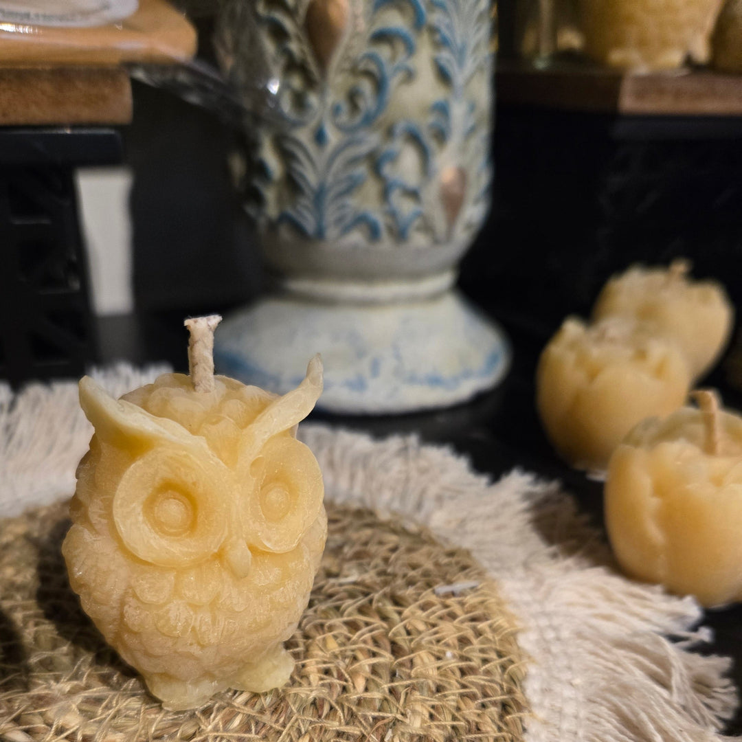 Beeswax Owl