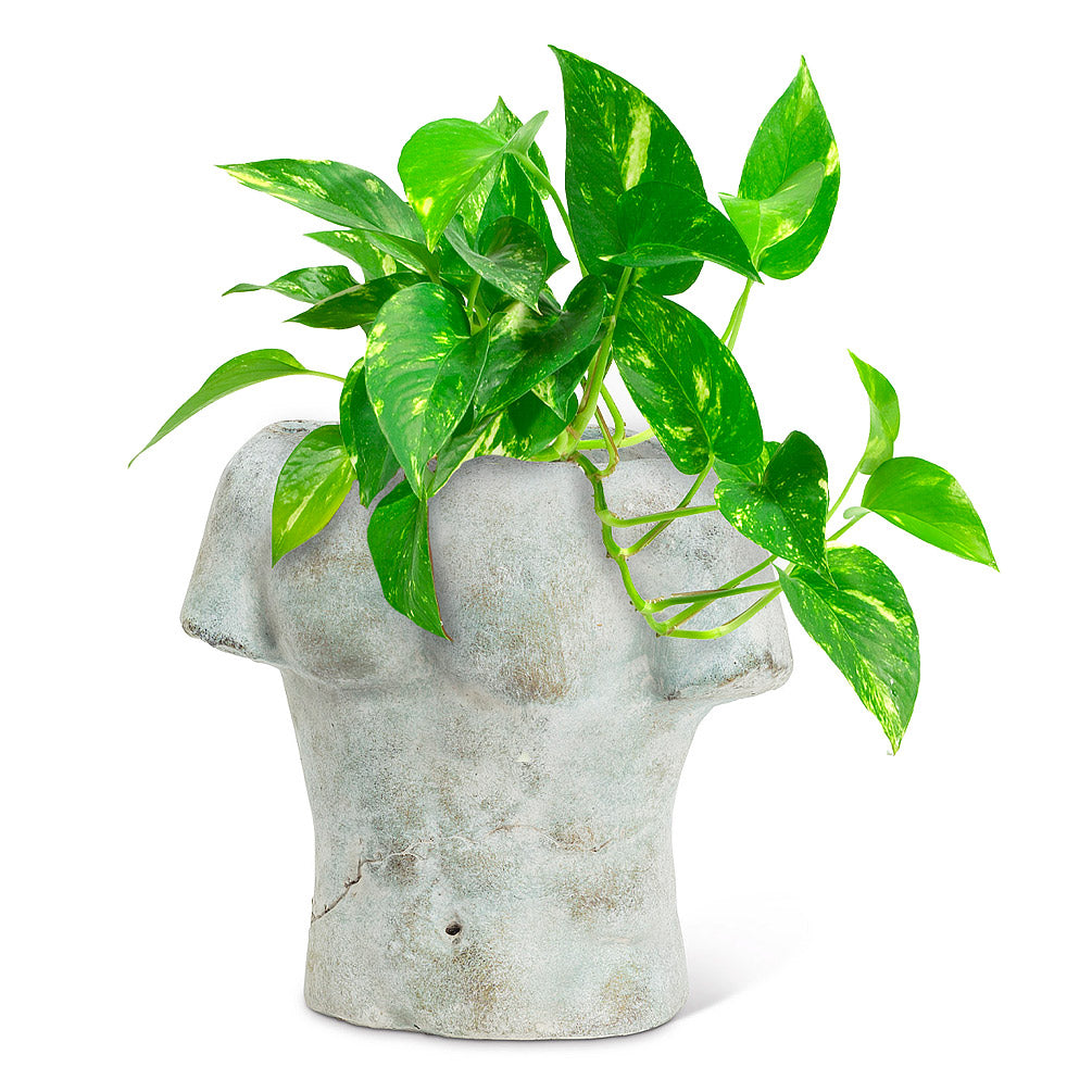 Masculine Torso Planter