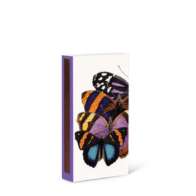Matchsticks | Butterfly Study Match Box