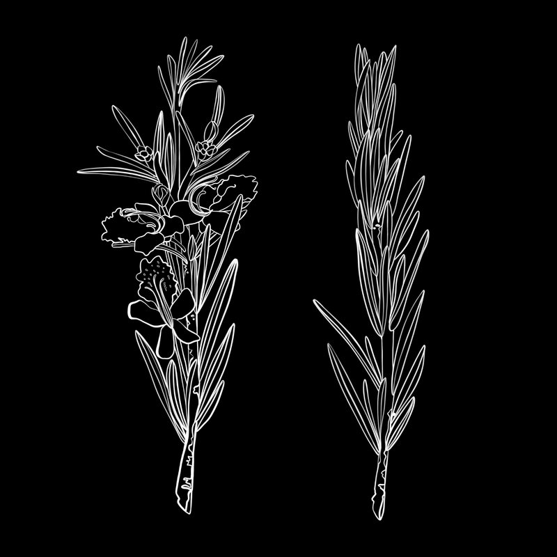 Rosemary Leaf