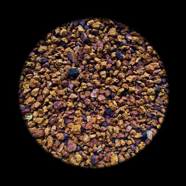 Chaga