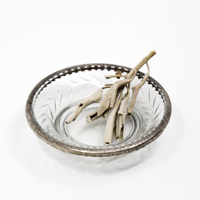 Organic White Desert Sage